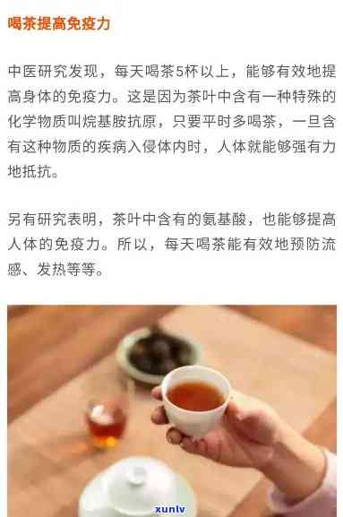 喝什么茶提高免疫力？最全效果解析