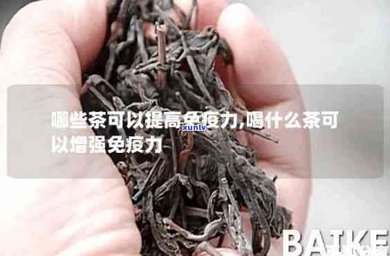 喝什么茶提高免疫力和抵抗力？效果的茶叶推荐！