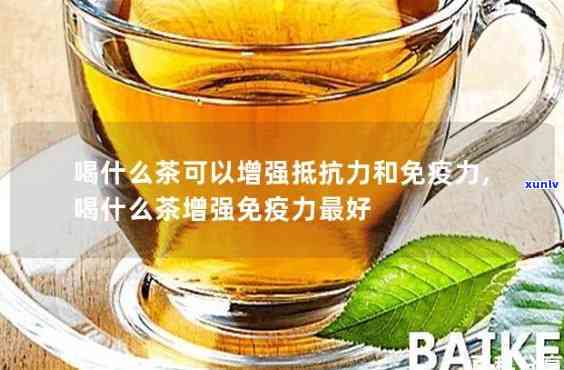 喝什么茶提高免疫力和抵抗力？效果的茶叶推荐！