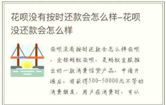 花呗未准时还款的严重结果是什么？