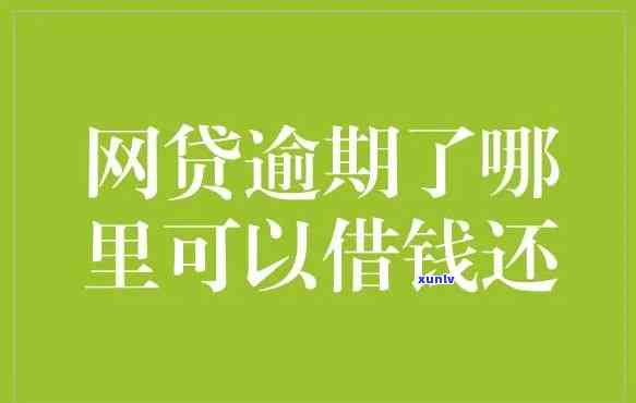 没钱还网贷了怎么办，陷入网贷困境：没钱还款，怎样解决？