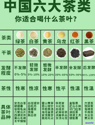 什么茶所有人都能喝-什么茶所有人都能喝的