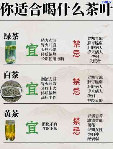 班章普洱茶珍品极客