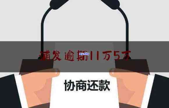 浦发欠款10万逾期5个月，没钱还怎么办？