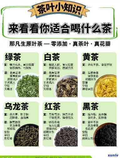 适合泡什么茶喝-适合泡什么茶喝呢