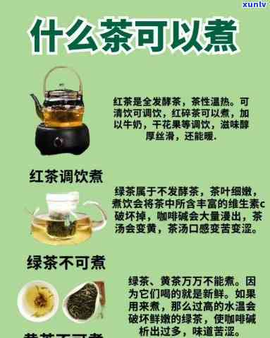 什么茶不可以煮着喝-什么茶不可以煮着喝呢