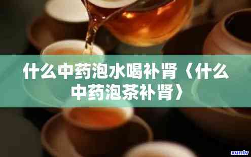 补肾喝什么泡茶好，探究补肾之道：哪种茶叶最适合泡茶饮用？