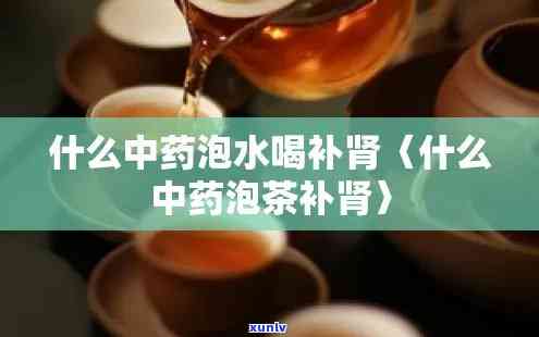 补肾平时泡什么茶喝-补肾平时泡什么茶喝好