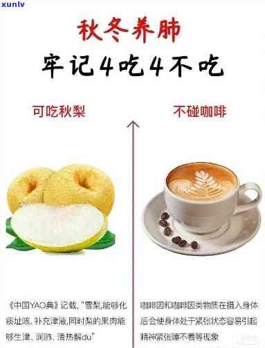 冬补肺，喝什么？