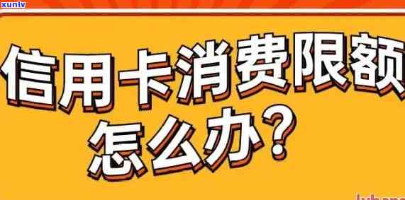 荷花鱼翡翠挂坠：详细信息、购买建议与保养 *** ，让您的珠宝更闪耀！