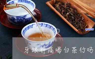 牙龈肿痛泡什么茶喝，止痛消炎！牙龈肿痛时，这几种茶饮效果！