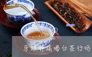 牙龈肿痛泡什么茶喝-牙龈肿痛泡什么茶喝好