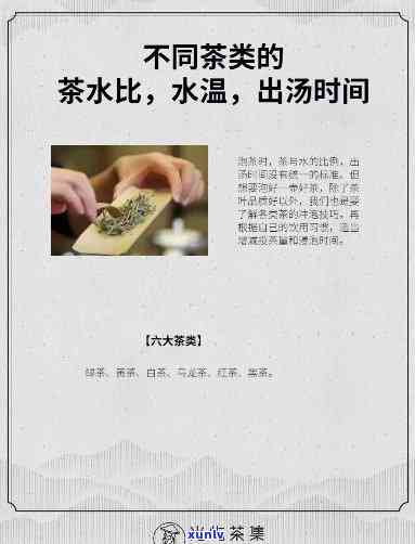 2012年大益龙印青饼价格与口感全面解析