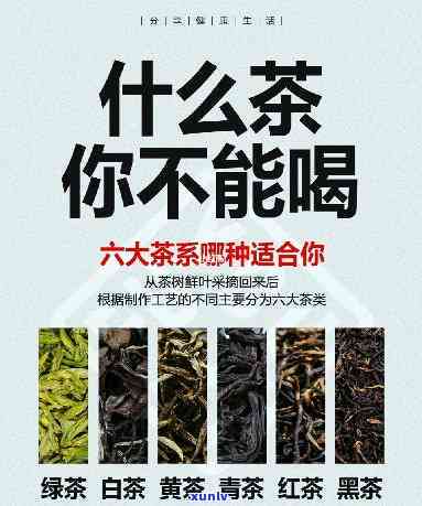 什么茶不适合天喝呢，天不宜饮用的几种茶叶，你中招了吗？