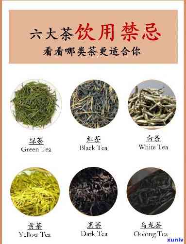 什么茶不适合天喝呢，天不宜饮用的几种茶叶，你中招了吗？