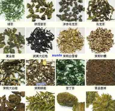 什么茶适合在天喝？全面解析适宜的茶叶种类