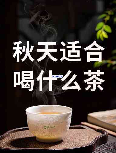 什么茶不适合天喝-什么茶不适合天喝呢