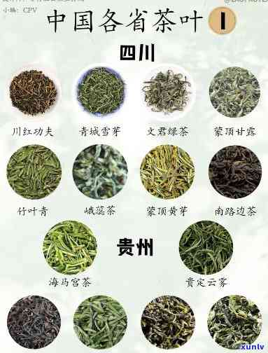 贵州茗茶：探寻贵州特色茶叶种类