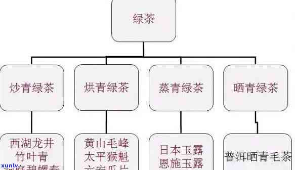 肃产什么茶，揭秘肃特产：你不知道的茶叶种类