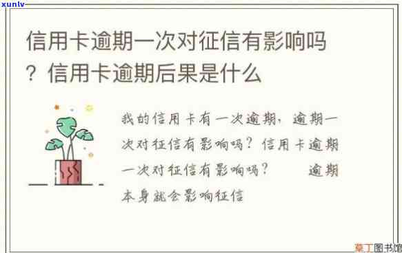 翡翠项链大全：全面了解各类产品与排名