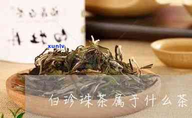 白珍珠茶属于什么茶-白珍珠茶属于什么茶类