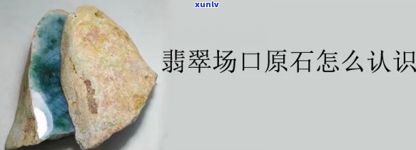 原石场口特征及图解，揭秘原石场口：特征解读与图文解析