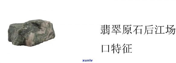 泡水能立起来的茶叶-泡水能立起来的茶叶叫什么