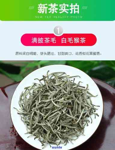 乐白毛茶特点：清香醇，回味悠长