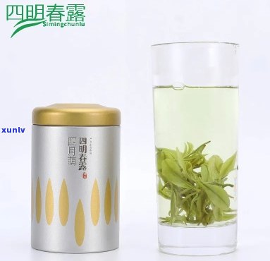 四明春露茶是什么茶-四明春露白茶是什么茶