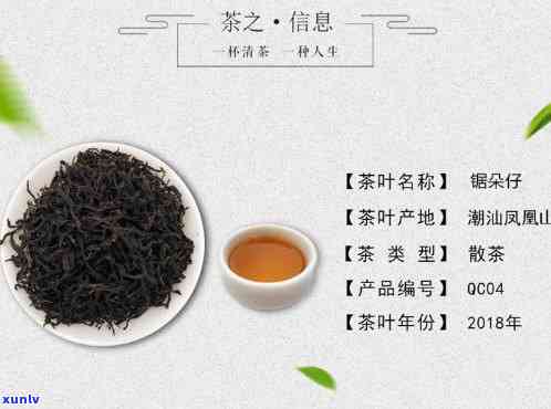 凤凰单枞茶锯朵仔：品种、历与特点全解析