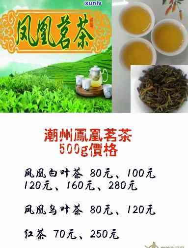 凤凰茗茶属于什么茶-凤凰茗茶属于什么茶类