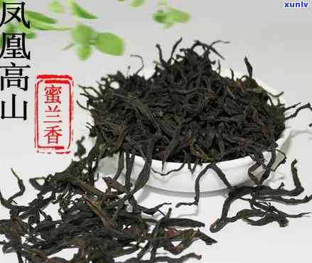 凤凰茗茶属于什么茶-凤凰茗茶属于什么茶类