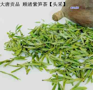 湖州紫笋茶是什么茶叶，「科普」湖州紫笋茶，属于什么茶类？它有哪些独特的品质和口感特征？