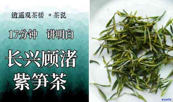 浙江湖州紫笋茶多少钱一盒？价格及介绍全在这！