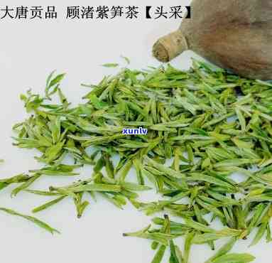 湖州紫笋茶是什么茶-湖州紫笋茶是什么茶叶