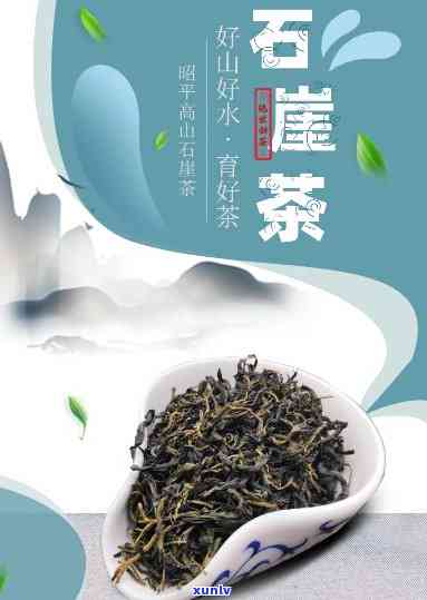 河源石坪茶：探究其茶种类及特点