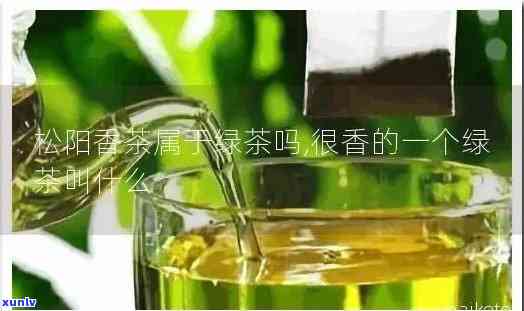 松香味的茶是什么茶？图片揭示答案！