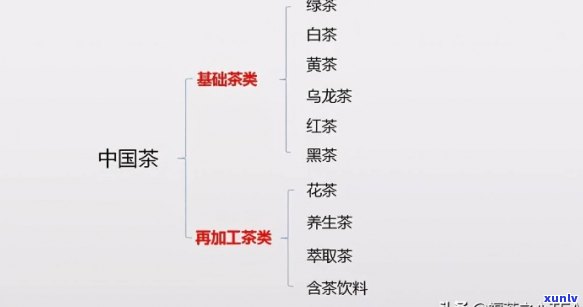 代主要流行何种茶类？探究其历渊源与品种特色