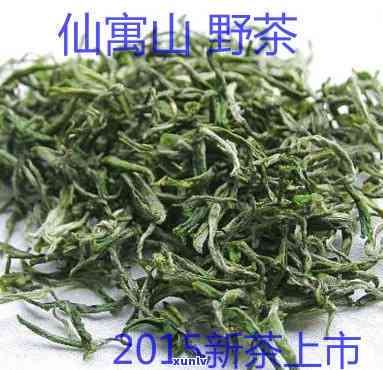 仙寓山野茶是什么茶-仙寓山野茶价格图片