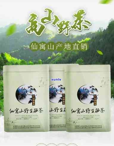 仙寓山野茶是什么茶-仙寓山野茶价格图片