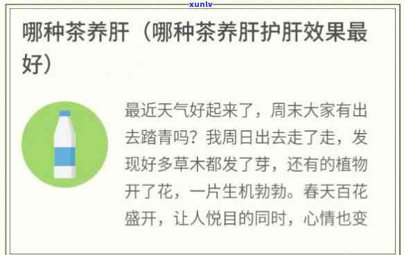 喝什么茶能养肝明目效果好，护肝必备！哪种茶叶养肝明目的效果？