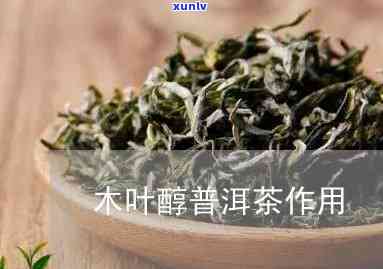 木叶醇圆茶是什么茶类，探究神秘的茶叶——木叶醇圆茶，它属于哪一类？