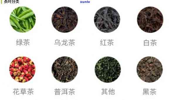 马肉牛肉茶究竟是什么？除了这两种肉，还有哪些种类？