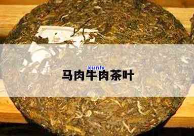 牛肉马肉茶是什么茶，解密牛肉马肉茶：这到底是一种什么茶？