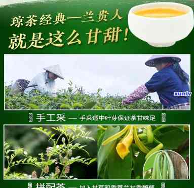 海南兰贵人茶是什么茶，探秘海南特色：什么是海南兰贵人茶？