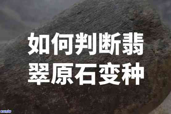 原石变种翡翠值钱吗，探究原石变种翡翠的价值：它们真的值得投资吗？