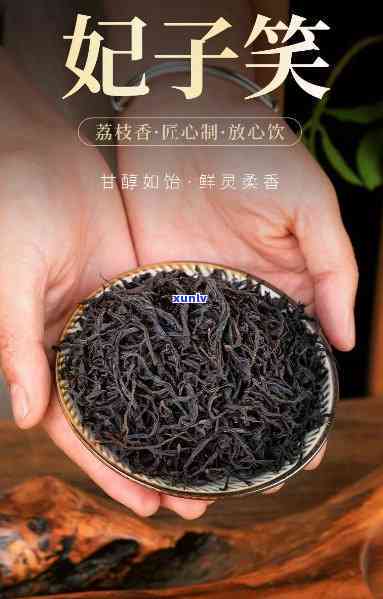 妃子笑茶属于什么茶-妃子笑茶属于什么茶类