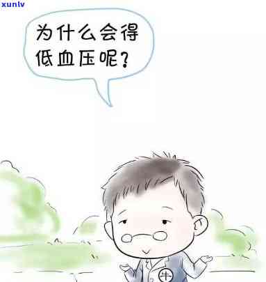 低血压男性适合喝什么茶？如何有效调理？每日饮用量应为多少？