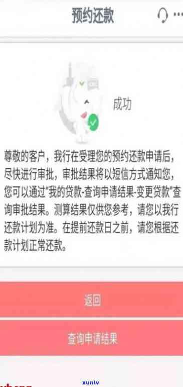 欠债20万的解决  ：从还款计划到法律援助