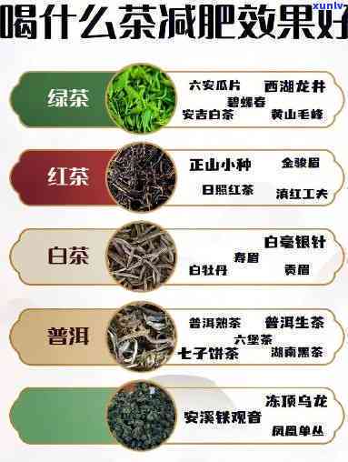 喝什么茶能有效减肥？探讨茶叶的减肥功效与作用